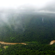 The Aghanashini River in Karnataka is a hotspot of Myristica swamps. These ecosystems are highly vulnerable to human exploitation and climate change.